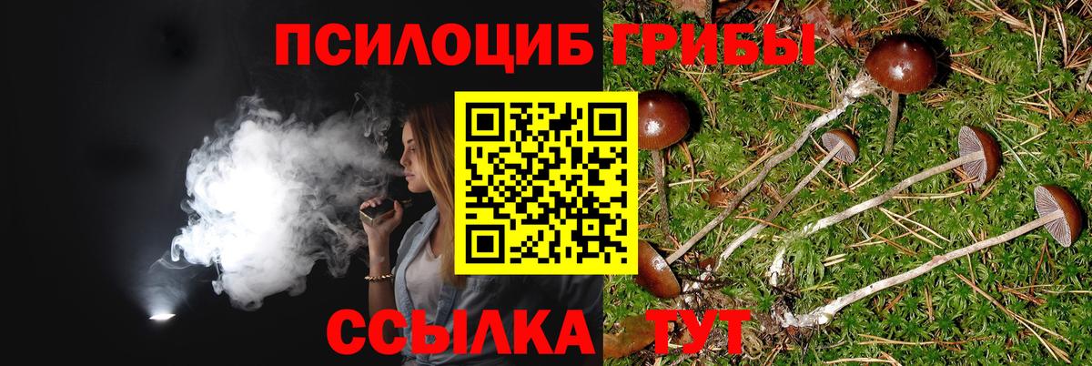 Заринск  Псилоцибиновые грибы ЛСД  Вход с VPN 